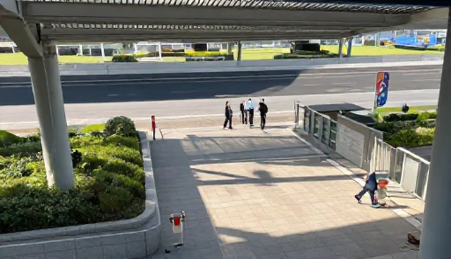 视频剪辑适用条件与限制的全面解析